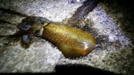 強風の中の　我慢。