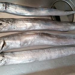 エサ&ワインドで渋い中頑張りました！