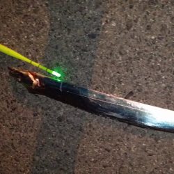 タチウオ活性高いか！？