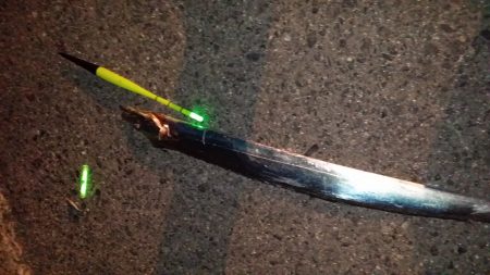 タチウオ活性高いか！？