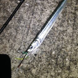 アジングのちメバリングのちサヨリング