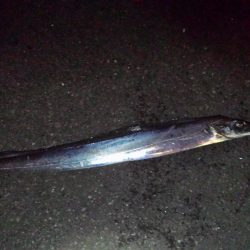 寒くて渋いっ！！