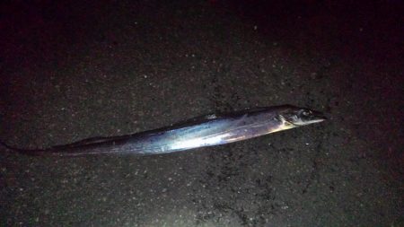 寒くて渋いっ！！