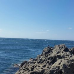 和歌山フカセ釣行