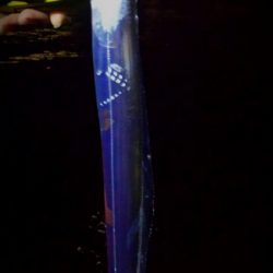 早朝のタチウオ