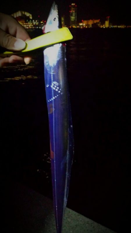 早朝のタチウオ