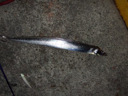 渋かった・・・。