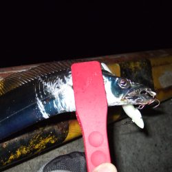 3連ちゃんです(^_^;)