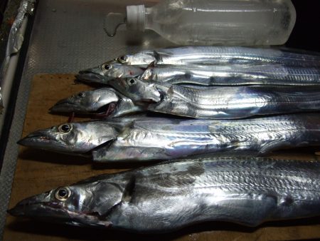 短時間の銀ピカ。