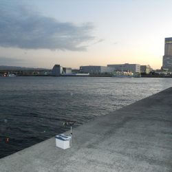 夕方~太刀魚のウキ釣り