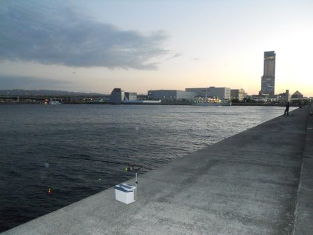 夕方～太刀魚のウキ釣り