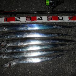 夜釣りでタチウオのウキ釣り