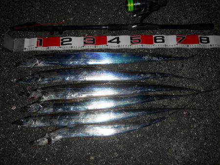 夜釣りでタチウオのウキ釣り