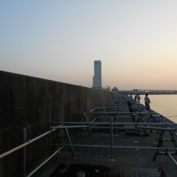 夜釣りでタチウオ釣り!?