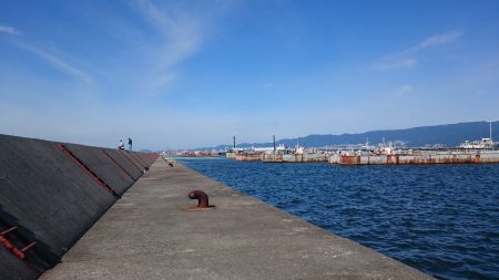 サゴシフィーバー！？