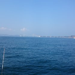 ロケーション最高