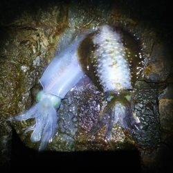 無風からの爆風