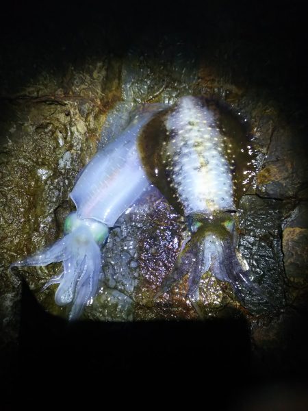 無風からの爆風