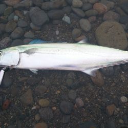 煙樹ウェーディング