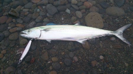 煙樹ウェーディング