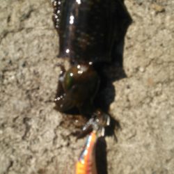 今日は休みか？