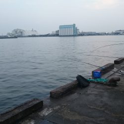 海上釣り堀活エサ確保が使命、ってことでサビキ釣り♪食コン