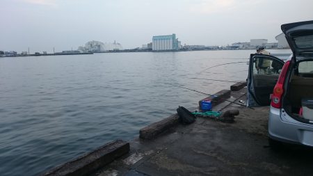 海上釣り堀活エサ確保が使命、ってことでサビ…