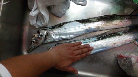 雨の中での釣果です。