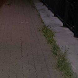 三連休デスネ～