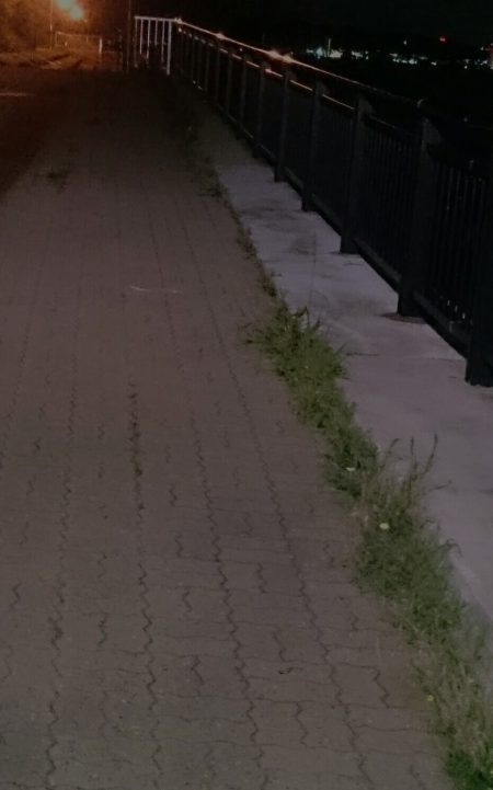 三連休デスネ～