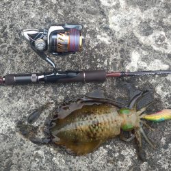 エギングを満喫