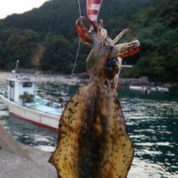 船から陸に移動してエギング