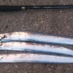 短時間ワインドで