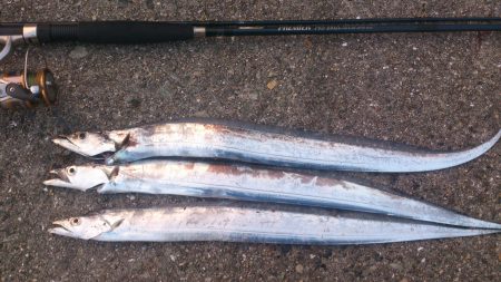 短時間ワインドで