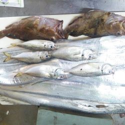 浮き釣りでタチウオ