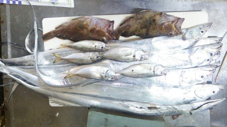 浮き釣りでタチウオ