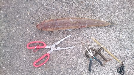 出てこい俺の友達！E.S.O