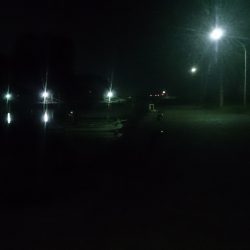 タチウオ群れを探して