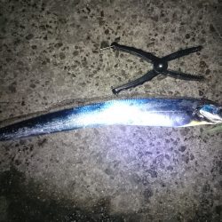 ワインドに軍配！