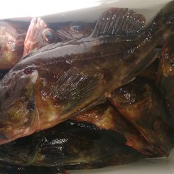 ポカポカ陽気にのんびり