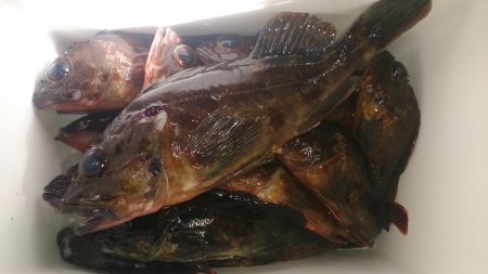 ポカポカ陽気にのんびり