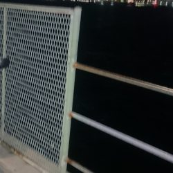 アジのご機嫌はいかがですか