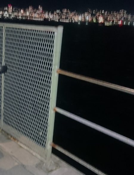 アジのご機嫌はいかがですか