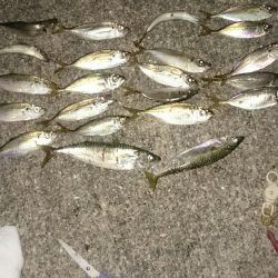 だいぶ寒くなってきました