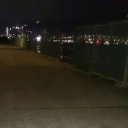 アジングは楽しいのだ