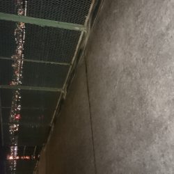 仕事後のアジ調査