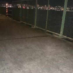 仕事後のアジ調査