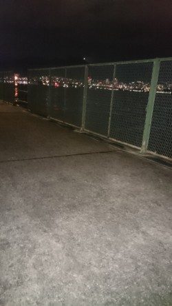 仕事後のアジ調査