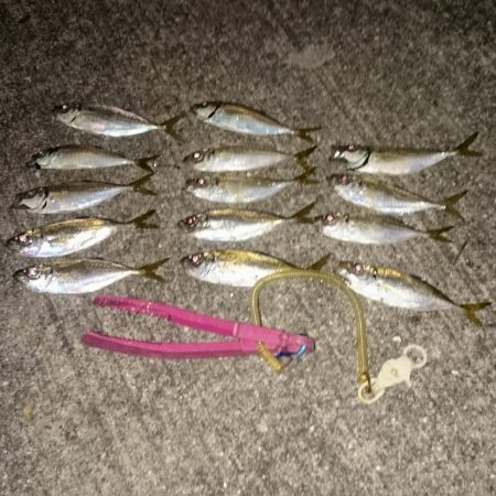 ぽとり連発、悔しい〰