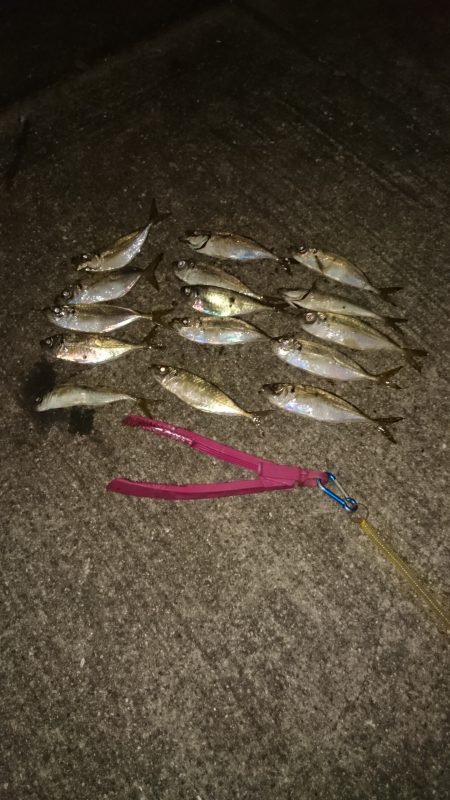 夕まづめは食欲旺盛